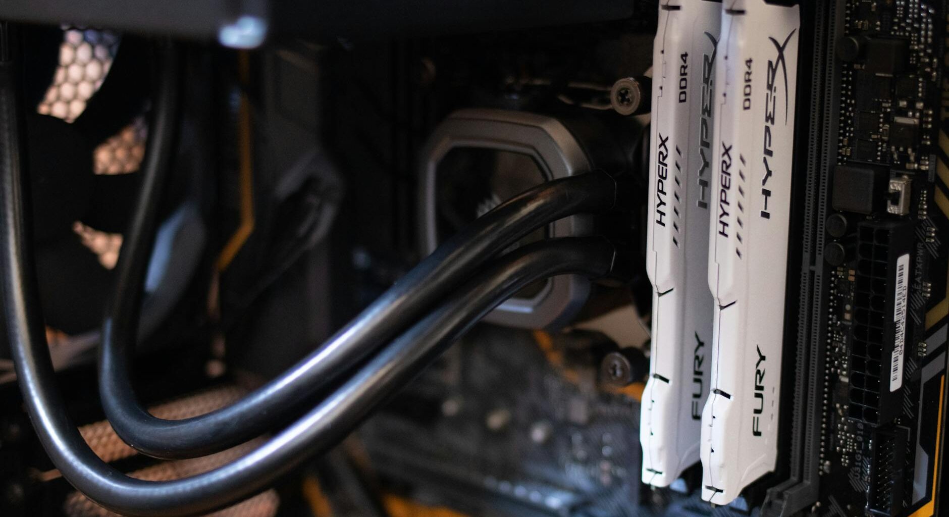 Image by: Athena Sandrini https://www.pexels.com/@athena