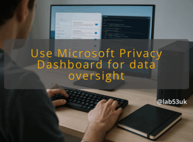 img use microsoft privacy dashboard for data oversight windows 11 privacy settings