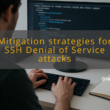 img mitigation strategies for ssh denial of service attacks